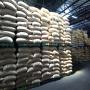 Vente de fevre de cacao et cafe vert robusta 