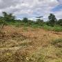 Magnifique Terrain titr&eacute; &agrave; vendre &agrave;  YAOUNDE-