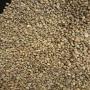 Vente de caf&eacute; robusta grade 2