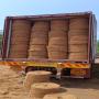 corde de captage en fibre de coco naturelle