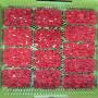 Framboise 125g a vendre