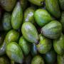 great a avocado pear