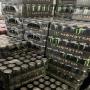 Fresh Monster Energy Drink For Wholesale