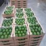 Avocat a vendre