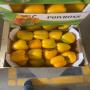 POIVRON ROXY CALIFORNIE A VENDRE