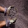 Vente de minerai de fer en Zambie