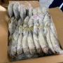 Poissons Chinchards blancs !!!