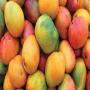 Vente en gros et exportation de fruits