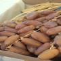 Dattes fra&icirc;ches Deglet Nour