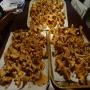 champignions forestiers ( Girolle...)