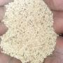 SESAME BLANC 