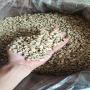 arabica and robusta coffee beans 
