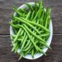 haricots verts  destinés à l'exportation