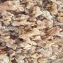 Gomme arabique 
