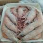 crevette (fruit de mer )