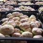 Melons Charentais Cultiv&eacute;s - MEILLEUR PRIX