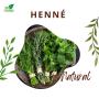 Gamme d'Herbes Aromatiques