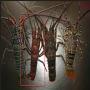 langoustes vivantes 