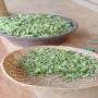 Cornichons de grade 160+ disponibles