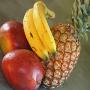 A la recherche de fruits.