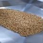 cajou, Amande, Cacahuetes, Noisette, Sesame