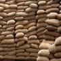 cashew nuts offer fob guinea-bissau