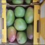 fruits frais et séché