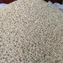 premium cashew nuts for sale   raw & kernels