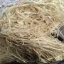 vente d éponges végétales africaines 