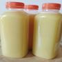 jus de fruit concentré bio