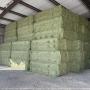 premium alfalfa & wheat hay for sale 