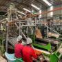 une usine de transformation de noix de cajou 