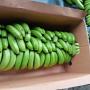 cavendish bananas from costa rica.