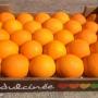 produits derives fruits et legumes