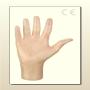 gants d'examen vinyle bleu / blanc