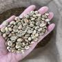 VENTE D'ARABICA ET ROBUSTA GREEN COFFEE