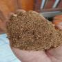 poudre de cannelle naturelle