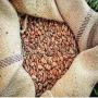 cacao grade 1