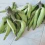 banane plantain