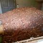 manioc sec