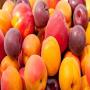 abricots,  pêches,  nectarines,  paraguayos...