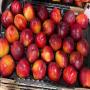 abricots,  pêches,  nectarines,  paraguayos...