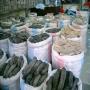 concombres de mer 