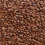 recherche de client ,  ou exportateur de café 