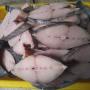 poissons congelées de madagascar