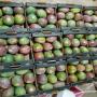 mangue ,  ananas,  noix d acajou