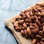 broker in purchasing and exporting cocoa coof