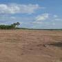 une parcelle de 8 hectares en vente 