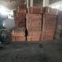 copper cathode for sale