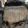 wet cow and donkey hides skin salted for sell